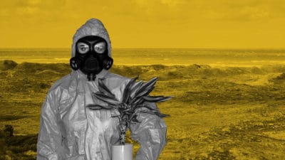 Person dressed in hazmat suit holds a pot plant