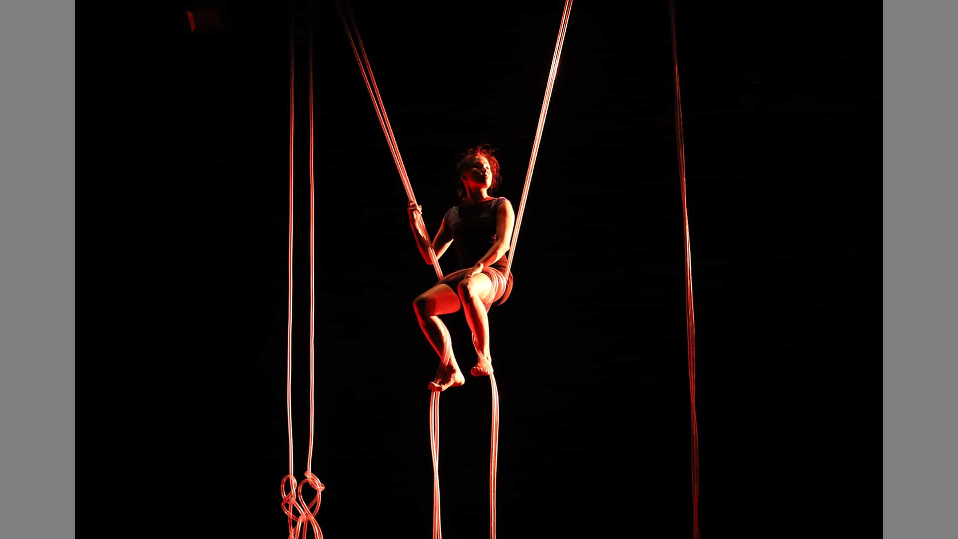 Performer sits high above the stage, in a swing made of plastic tubing