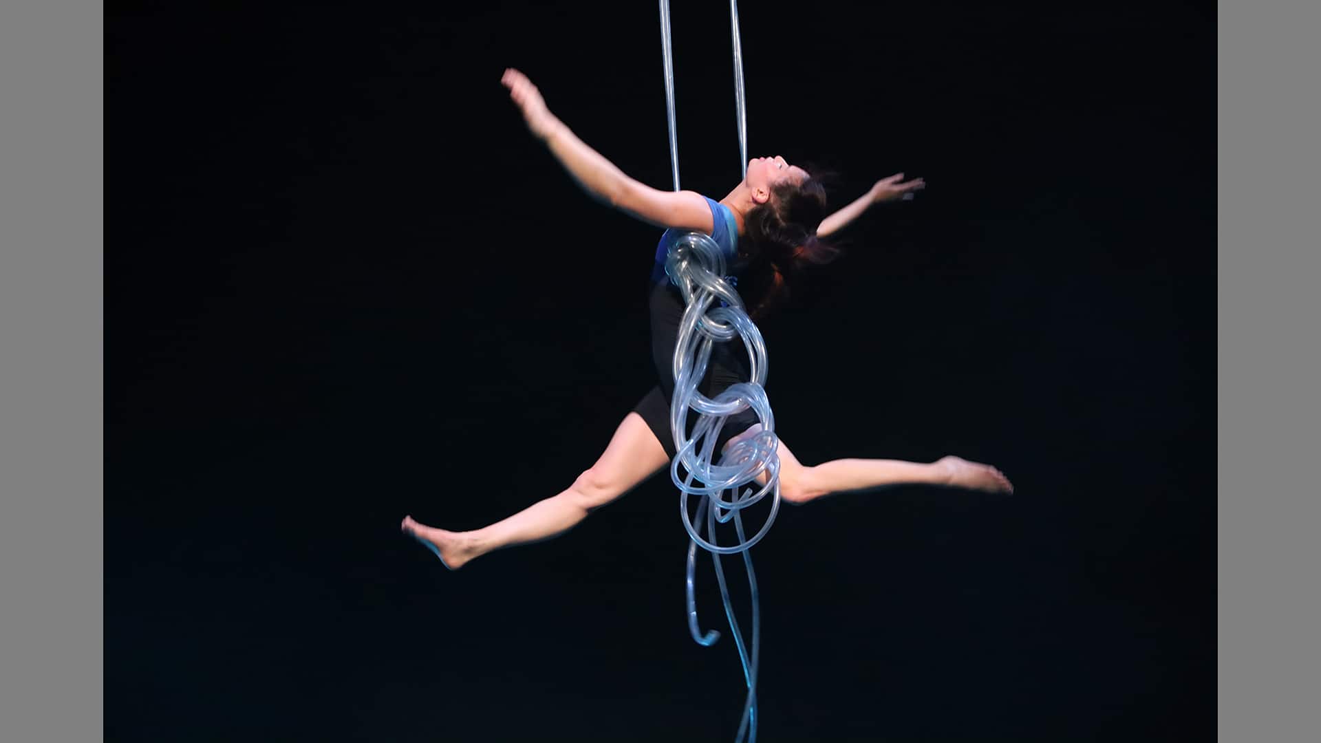 The performer swings above the stage using plastic tubing as a rope. Her legs are outstretched in a split. her arms also flung out. The plastic tubing is knotted around her body