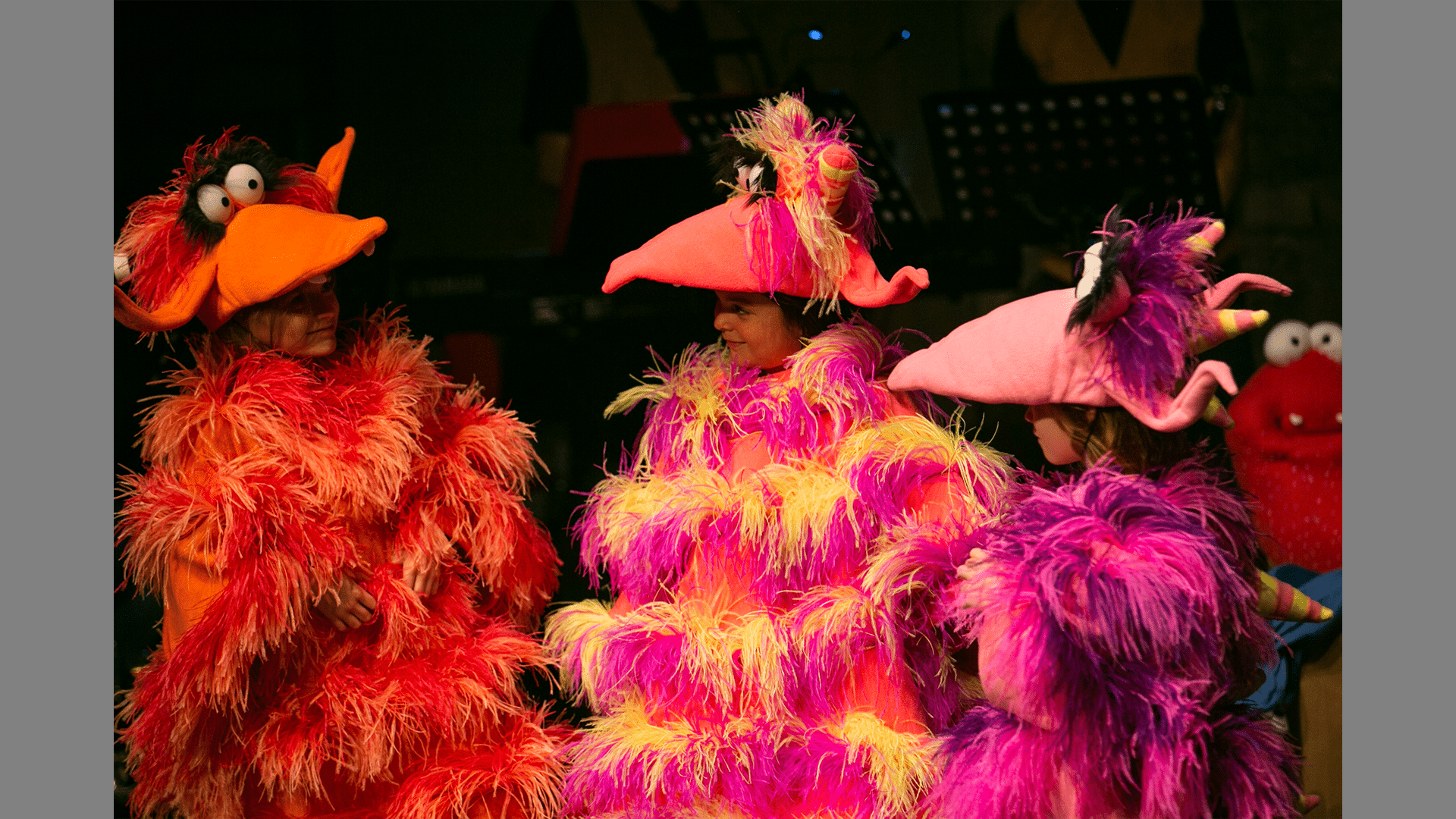 Three doo dahs with bright furry outfits and colourful beaks look at each other.